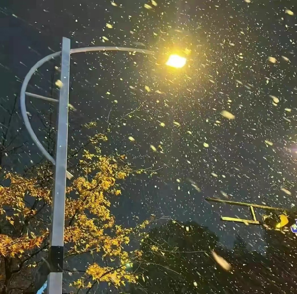 郑州市私家侦探：婚姻不是只有爱还有更重要的责任