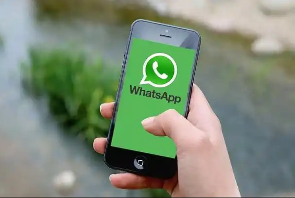 WhatsApp Chinese Official Website: How to Establish a Community in WhatsApp